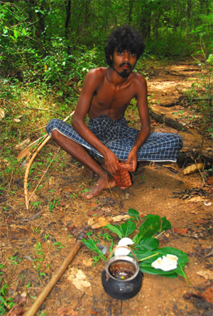 Vedda man with honey