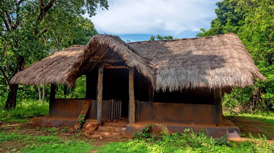 The Vedda lived all around the island, but are now only found in central Sri Lanka and the coastal lowlands (Credit: Oskanov/Getty Images)